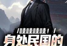 哇哇哇哇！身处民国的我变大佬精彩章节在线免费阅读（苏墨）-神奇文学