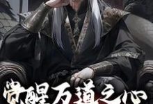 沈明小说的结局在哪可以看,觉醒万道之心,看我凭假修真免费阅读完结版-神奇文学