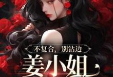 不复合,别沾边,姜小姐又美又飒免费阅读,顾衍泽苏辞心大结局无弹窗-神奇文学