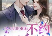 禾念安傅璟忱最新章节多年后的重逢，不约，姐有男友免费阅读-神奇文学