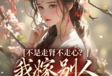 跪求主角是柳眠眠谢凌渊的小说书名叫什么-神奇文学