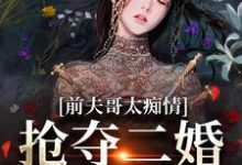 前夫哥太痴情,抢夺二婚新郎席位精彩章节在线免费阅读(苏墨菀)-神奇文学