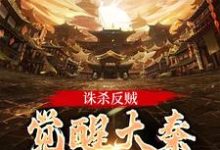 诛杀反贼，觉醒大秦千年气运免费阅读，嬴启大结局无弹窗-神奇文学