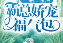 一胎三宝后,霸总娇宠福气包大结局,陆北城江如意小说无广告阅读-神奇文学