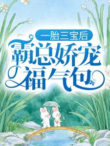 一胎三宝后，霸总娇宠福气包大结局，陆北城江如意小说无广告阅读