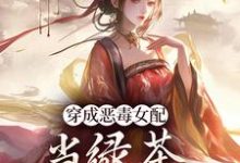 胡说，她才不是坏女人！在线看，乔挽颜小说大结局在哪免费看-神奇文学