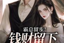 霸总留步!钱财留下爱带走无弹窗白挽盛云客最新章节列表-神奇文学