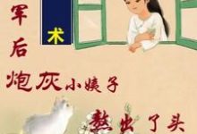 姐随军后，炮灰小姨子熬出了头小说资源求分享，姐随军后，炮灰小姨子熬出了头吴妮妮叶泽川在线阅读-神奇文学