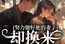 主人公是姜晚漓的小说努力做好他的妻子,却换来不被尊重免费阅读-神奇文学