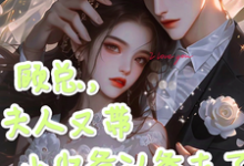 顾知衍苏禾小说免费阅读最新章节列表,顾总,夫人又带小少爷认爹去了小说在线看-神奇文学