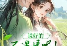 说好的不谈情呢！王爷请自制完结版风潇潇陆舟渊免费阅读大结局-神奇文学