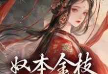 奴本金枝，誓不为妾无弹窗沈玉铮温云致最新章节列表-神奇文学