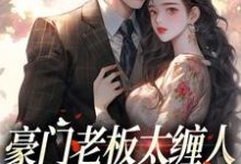 主人公是沈雾徐宴行的小说豪门老板太缠人,为她折腰为她疯免费阅读-神奇文学