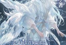 主人公是墨星钰的小说佣兵首领陨落后，被小人鱼救赎了免费阅读-神奇文学