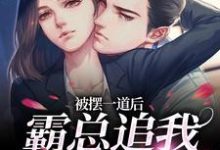 被摆一道后，霸总追我火葬场（池浅顾锦城）最新章节免费在线阅读-神奇文学