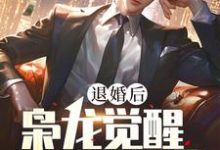 退婚后，枭龙觉醒，镇压当世精彩章节阅读(楚风甄姬)免费阅读大结局-神奇文学