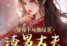 婆母下场撕绿茶,渣男丈夫被赶出家(杜英箫牧尧)完结版免费阅读-神奇文学