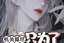 小说机关算尽只为了勾引她？主角元画免费阅读-神奇文学