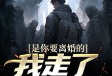 主角是陈潜柳如烟的小说是你要离婚的,我走了你又哭?在哪免费看-神奇文学