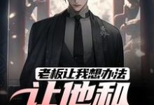 求助这本老板让我想办法，让他和老婆离婚小说在哪里可以看完结版-神奇文学