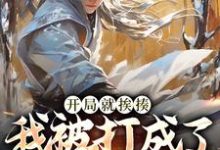开局就挨揍，我被打成了武林至尊完结版叶青免费阅读大结局-神奇文学