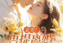 亲哭!再提离婚,霍总彻底失控了无弹窗苏暖霍云琛最新章节列表-神奇文学