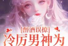 主角是厉霆之宁晚晚的小说醉酒误撩!冷厉男神为她沦陷情海在哪免费看-神奇文学