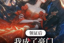 领证后,我成了豪门太子娇养妻完结版苏灵儿姜明琪免费阅读大结局-神奇文学