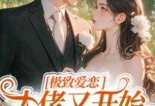 极致爱恋，大佬又开始攻心了（季染傅京渊）完结版免费阅读-神奇文学