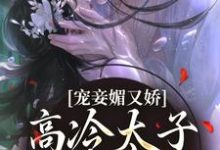 跪求主角是宁宁萧璲的小说书名叫什么-神奇文学