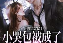 将错就错：小哭包被成了大佬心尖宠最新章节将错就错：小哭包被成了大佬心尖宠在线阅读-神奇文学
