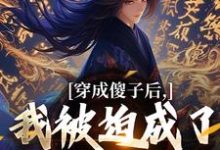 小说穿成傻子后，我被迫成了极品权臣主角 陈昭苏绫月免费阅读-神奇文学