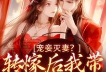 小说宠妾灭妻?转嫁后我带皇子夺王位主角魏芷殊免费阅读-神奇文学