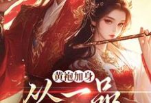 黄袍加身,从一品侯爵开始大结局,卫小宝小说无广告阅读-神奇文学