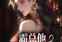 求助这本霸总他追爱火葬场后小说在哪里可以看完结版-神奇文学