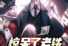惊呆了老铁，他又被提拔了大结局，林风小说无广告阅读-神奇文学