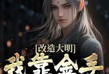 改造大明：我靠金手指夺江山热门小说(朱高炽)在线阅读无弹窗-神奇文学