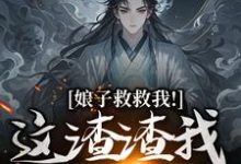 娘子救救我！这渣渣我虐不完精彩章节在线免费阅读（司寻）-神奇文学