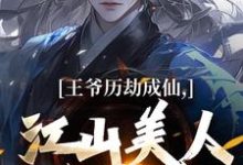 王爷历劫成仙，江山美人全在手热门小说(陆澈)在线阅读无弹窗-神奇文学