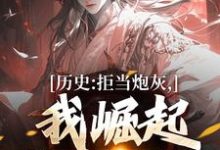 历史:拒当炮灰,我崛起收复河山完结版王克张煌言免费阅读大结局-神奇文学
