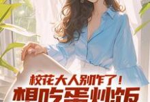 校花大人别作了！想吃蛋炒饭点外卖精彩章节在线免费阅读（时远苏意）-神奇文学