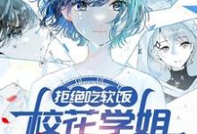 求助这本拒绝吃软饭,校花学姐气哭了小说在哪里可以看完结版-神奇文学
