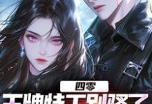 四零:王牌特工别骚了,敌军都怕了精彩章节阅读(柳龙)免费阅读大结局-神奇文学
