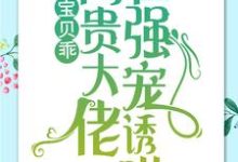 跪求主角是 简以宁陆怀瑾的小说书名叫什么-神奇文学