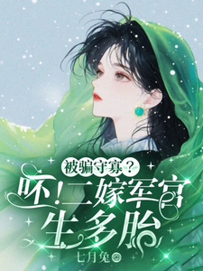 孟泠音顾时谦小说免费阅读最新章节列表，被骗守寡？呸！二嫁军官生多胎小说在线看