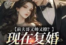 前夫哥又帅又撩？现在复婚来得及吗精彩章节阅读(安婳肖政)免费阅读大结局-神奇文学