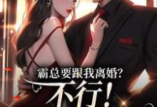 霸总要跟我离婚?不行!我身无分文免费阅读,覃笙大结局无弹窗-神奇文学