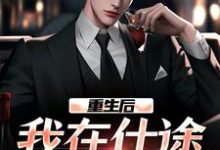 重生后，我在仕途一路狂飙精彩章节阅读(林来娣)免费阅读大结局-神奇文学