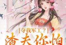 小说夺我军工?渣夫你怕是没命享主角凌朝歌南宫阎免费阅读-神奇文学
