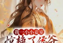 我一小小妾室,惊艳了侯爷很合理吧在线看,叶青芷谢晋小说大结局在哪免费看-神奇文学